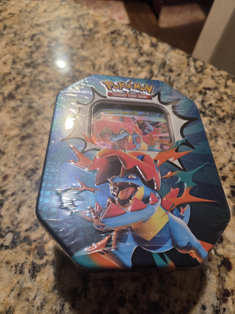 Mega Evolution Pokemon Ex!Trading Card Game Garchomp Tin - Blue/Red
